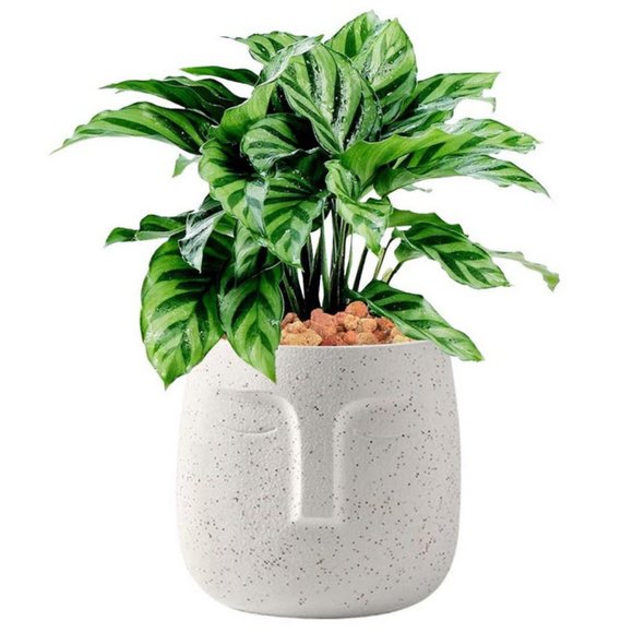 Other - Boho Abstract Face Succulent plant planter